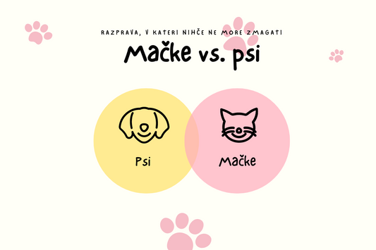 Mačke vs. psi: Razprava, v kateri nihče ne more zmagati. 1. DEL