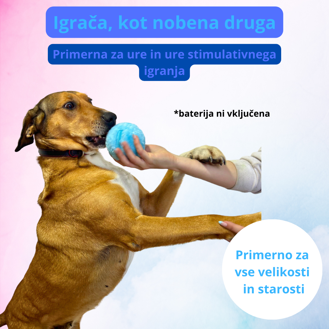 igrace_za_pse