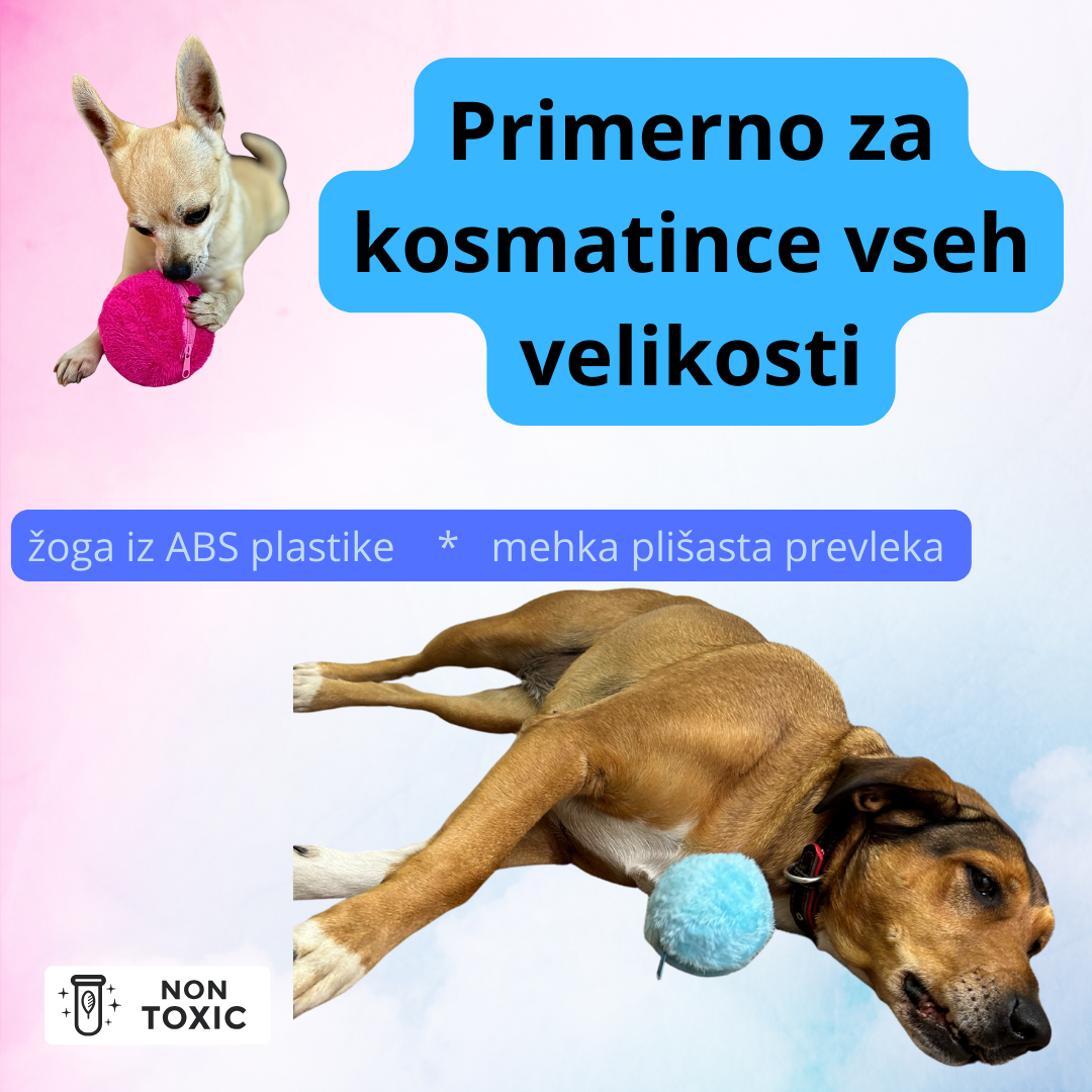 Aktivna žoga Magic Roller Ball™