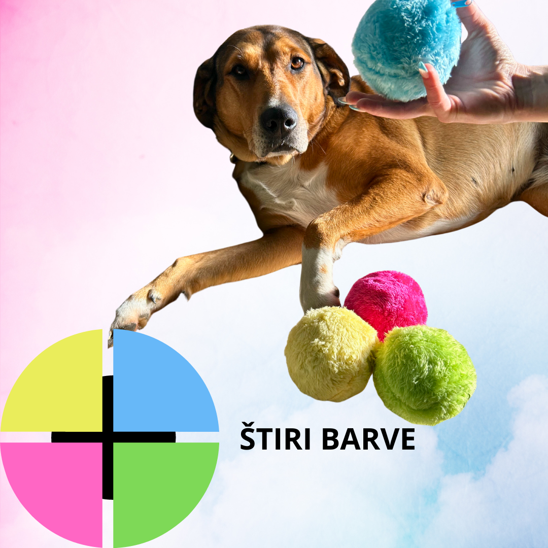 Aktivna žoga Magic Roller Ball™