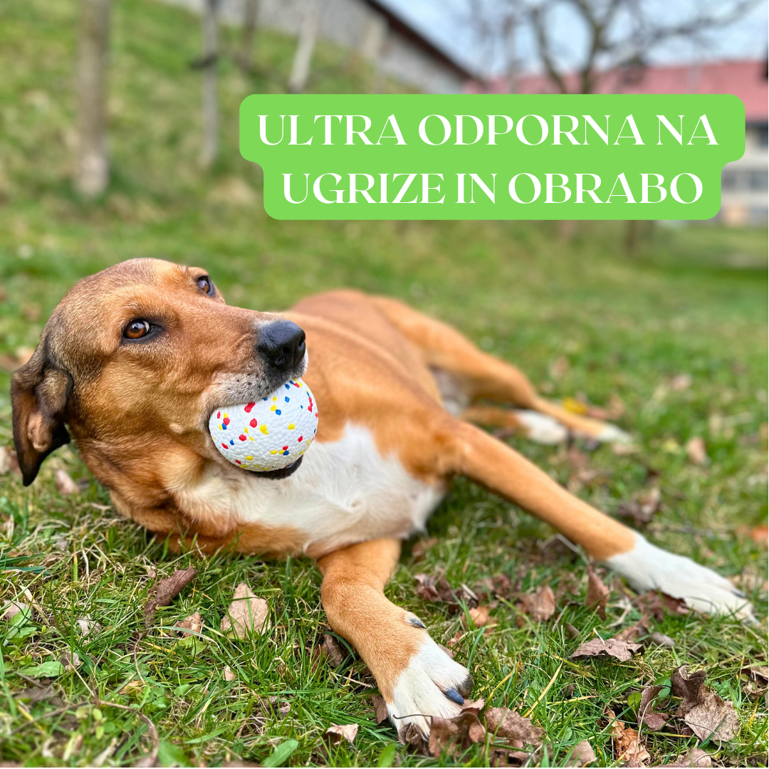 Žoga za psa "IndestructaBall"