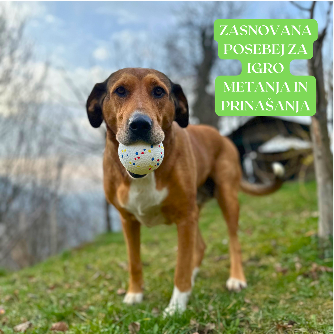 Žoga za psa "IndestructaBall"