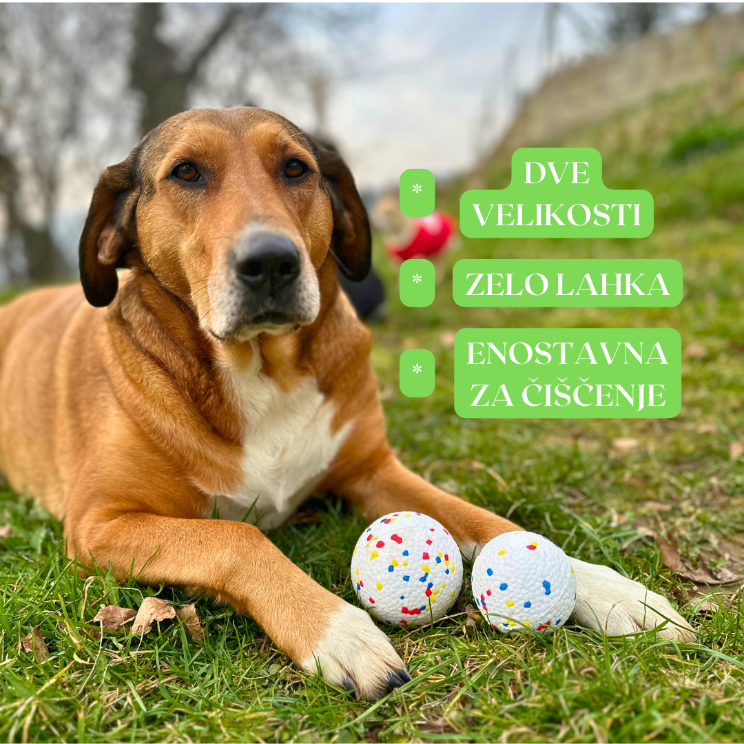 Žoga za psa "IndestructaBall"