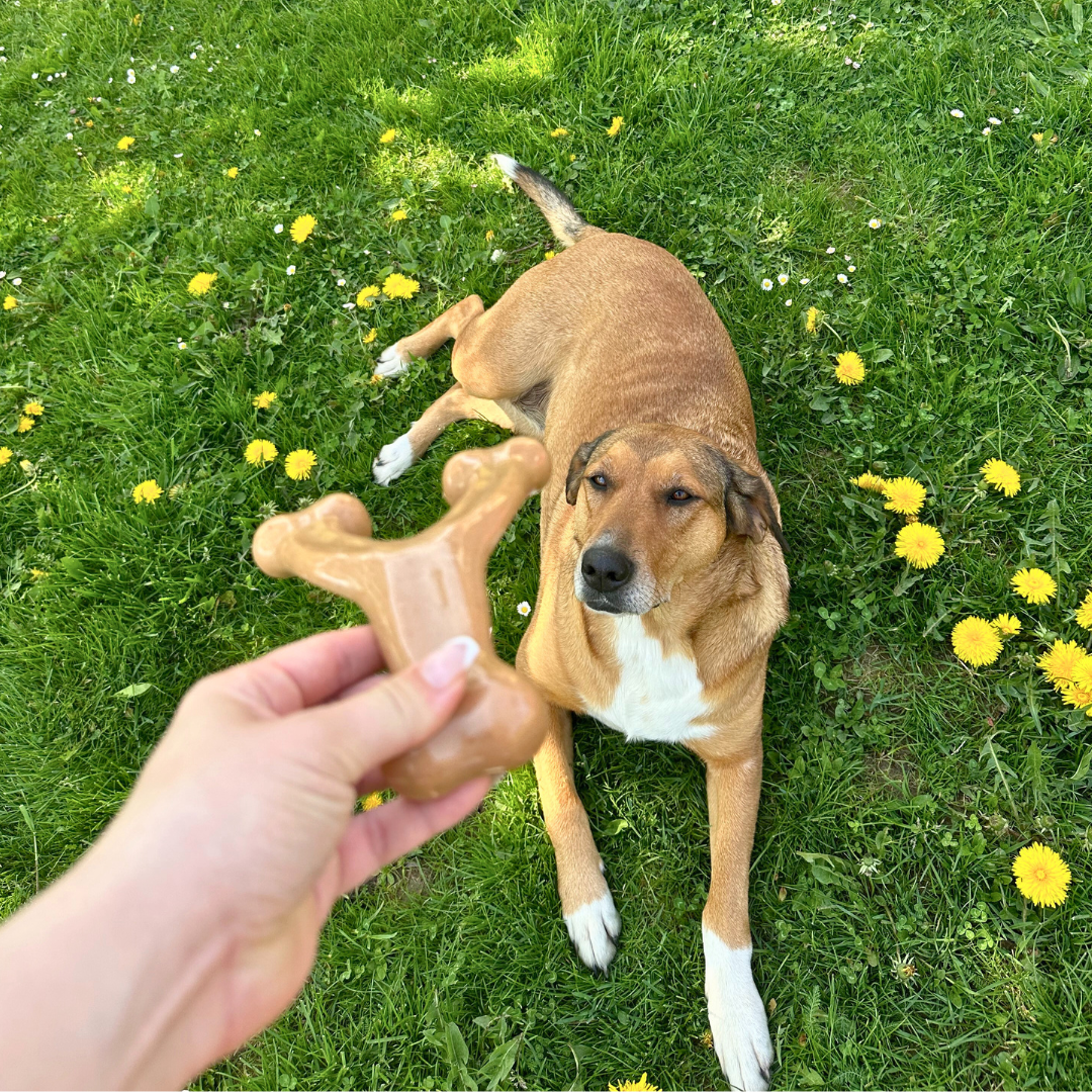 Bacon Chew Bone