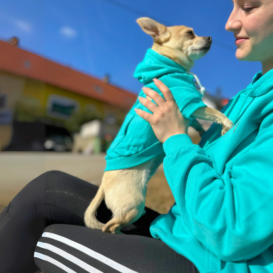 Pulover za psa "Pooch Pals" TURKIZNA