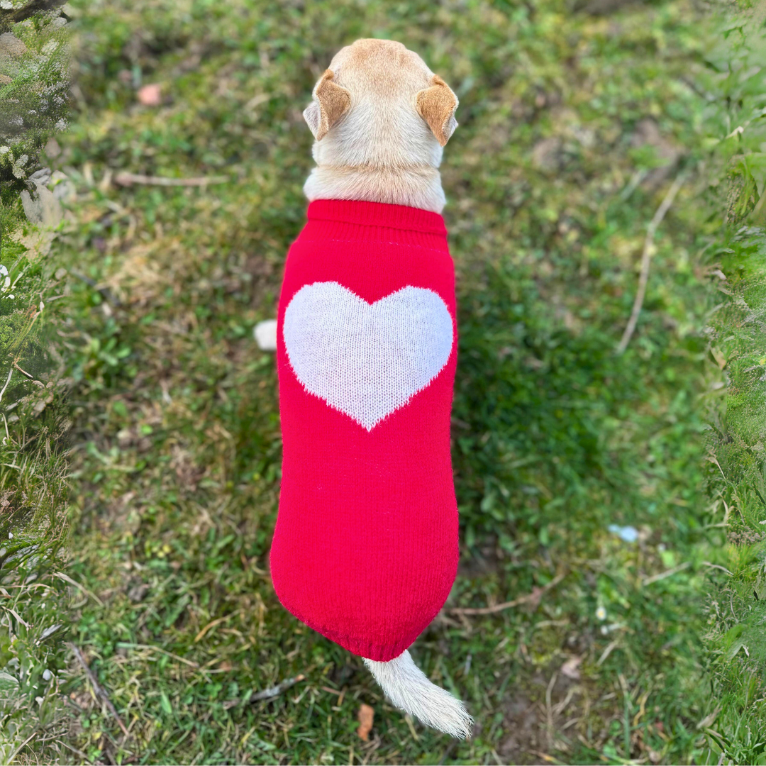 💕Pulover za psa "Sweetheart"💕
