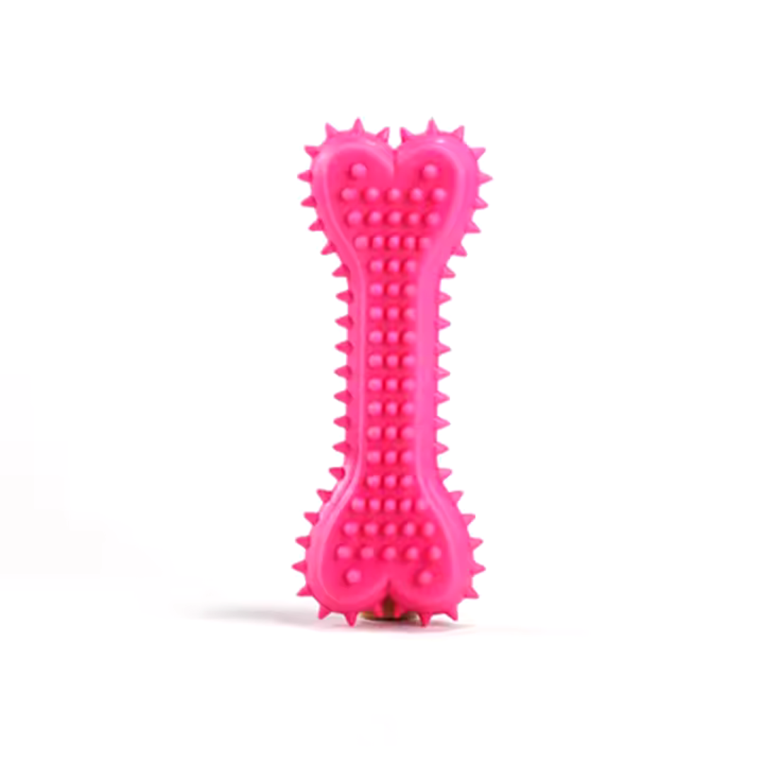 Dental Delight Bone