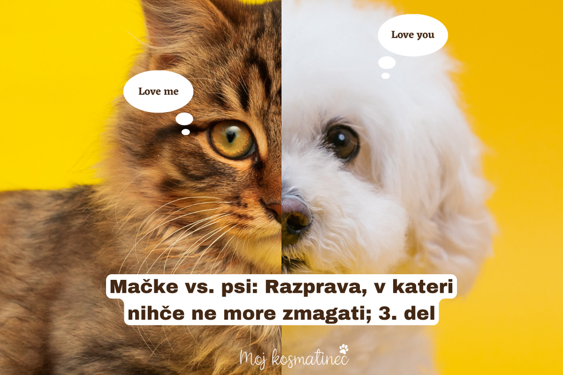Mačke vs. psi: Razprava, v kateri nihče ne more zmagati. 3. DEL