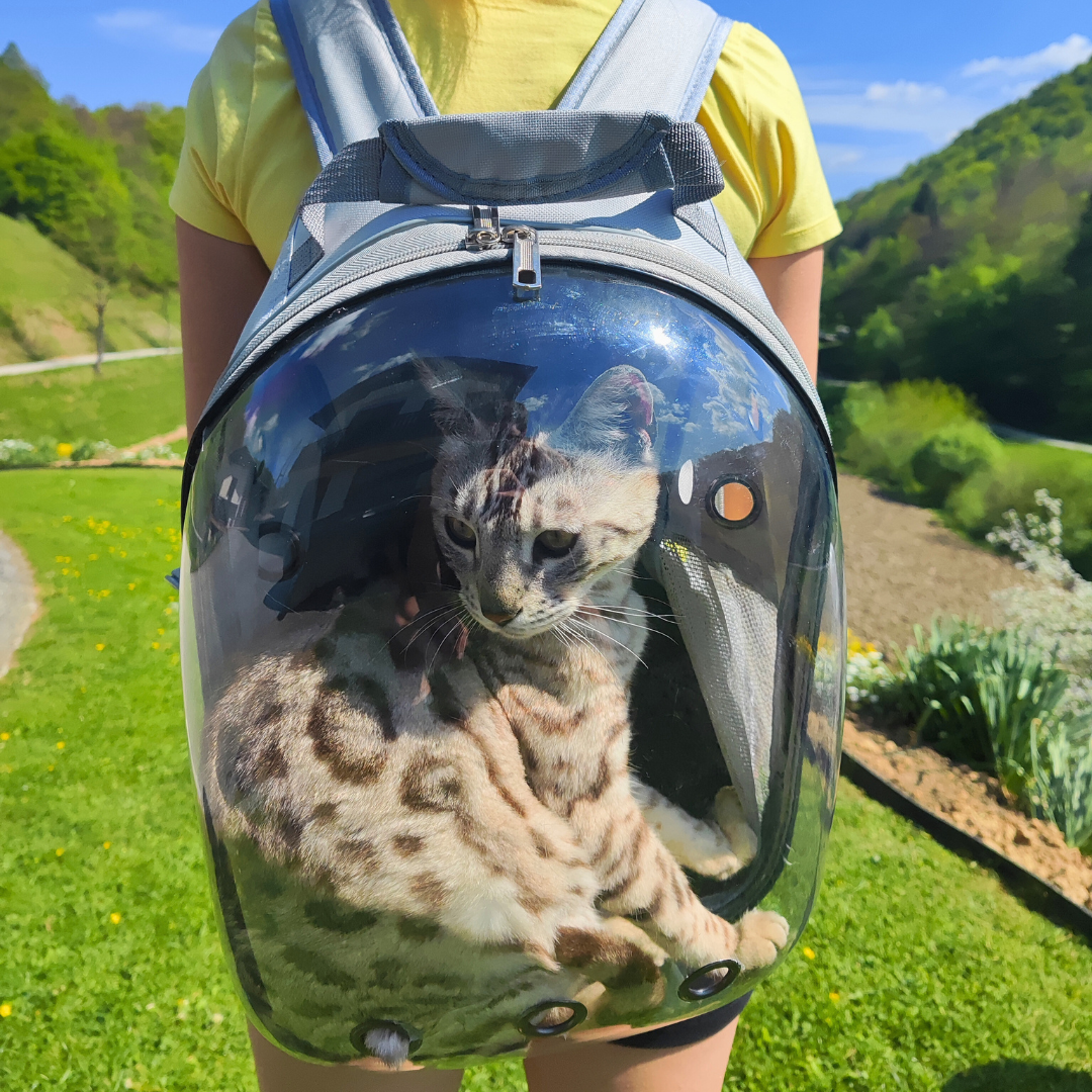 Purrfect Backpack